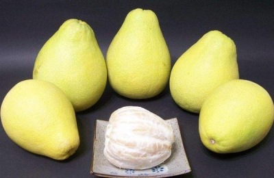 蜜柚一斤多少钱?种蜜柚赚钱吗