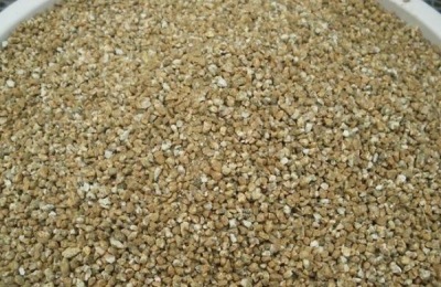 猪饲料品种介绍