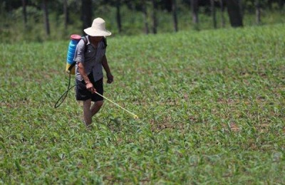 灭生性除草剂有哪些?哪些比较厉害
