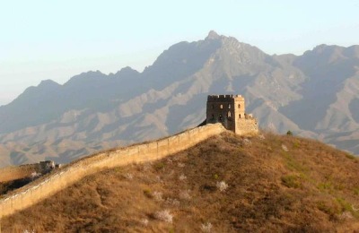 中国锦鲤多少钱？养殖前景如何？怎么养？读这篇文章就够了