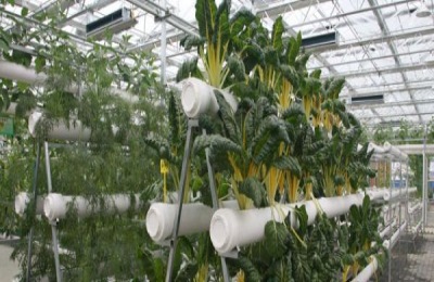 在农村摆摊卖什么赚钱？这企业利润高，销量大