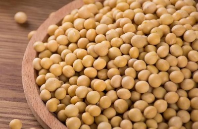 清明能种黄豆吗,种黄豆一窝几粒合适