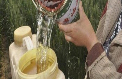 杀菌剂与杀虫剂、调节剂、叶面肥等的混用技术性