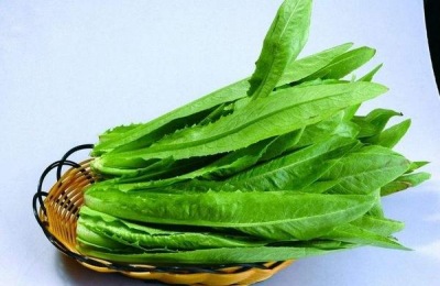 莴苣的种植技术和病虫害的防治是什么