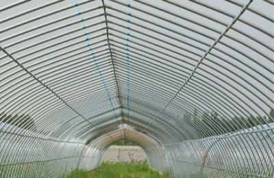 大棚膜水珠处理方法有哪些