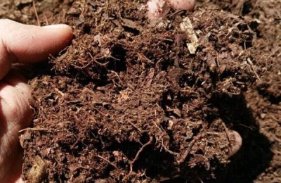 七天自制有机肥