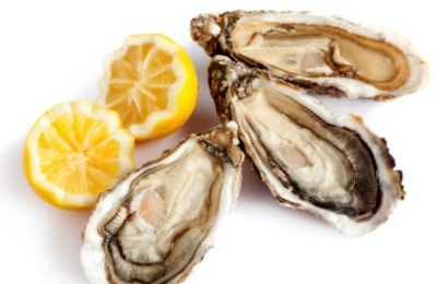 爱尔兰牡蛎的产地和品种