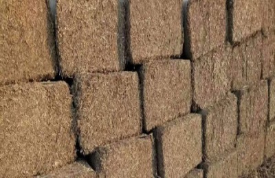 猪饲料品种介绍